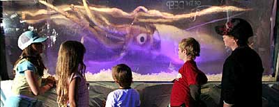 Big Squid