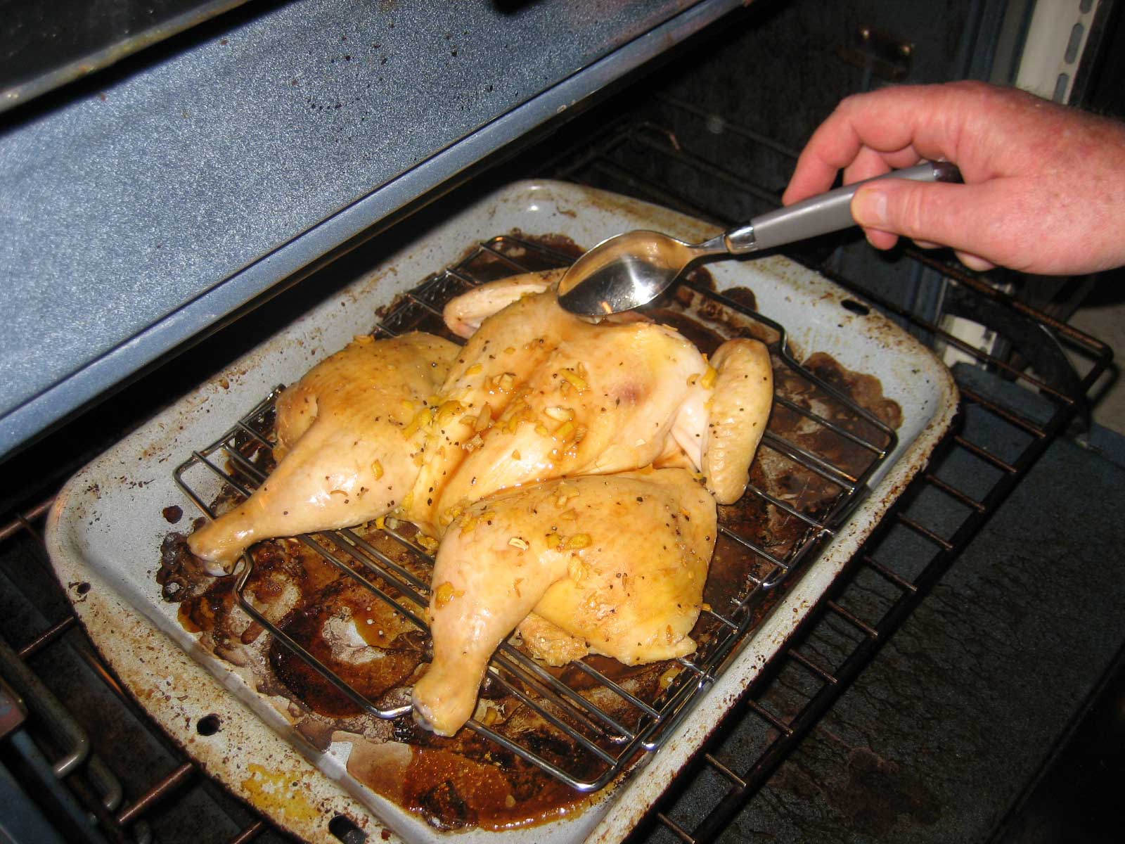 chix_baste.jpg