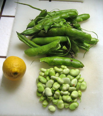 2favas.jpg