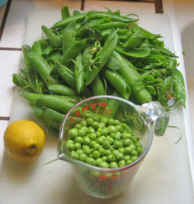 2peas1.jpg