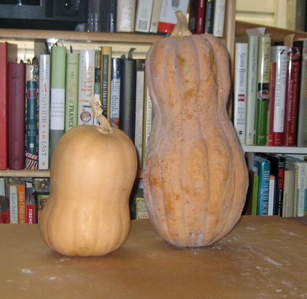 squash_inside.jpg