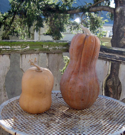 squash_outside.jpg