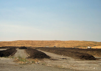 j_27_plant_row.jpg