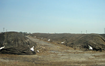j_28_compost-tex.jpg