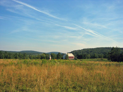e_on_his_land Eric -- out standing in his field