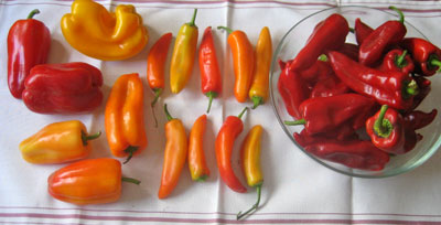 m_lode_o_peppers.jpg