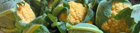 wc_caulif_detail