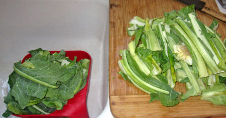 wc_leaves