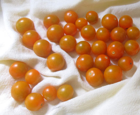 ct_tomato_detail