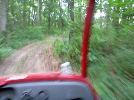 t_ripping_thru_woods