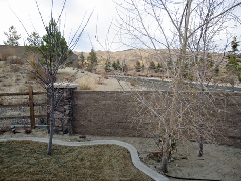 r_9135_back_view